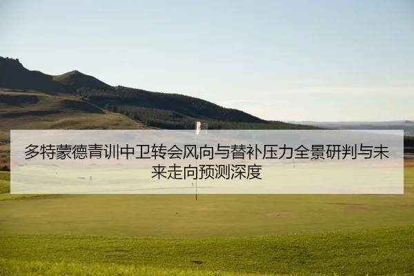 多特蒙德青训中卫转会风向与替补压力全景研判与未来走向预测深度